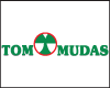Tom Mudas Ltda Campo Grande MS