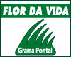 Flor da Vida Campo Grande MS