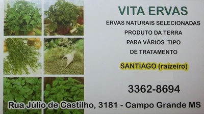 VITA ERVAS Campo Grande MS