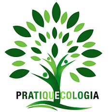 Pratiquecologia Campo Grande MS