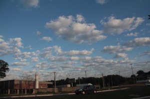 foto Notícia Campo Grande