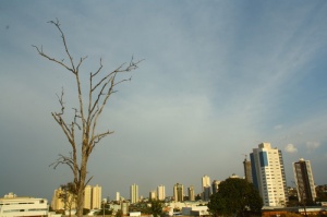 foto Notícia Campo Grande