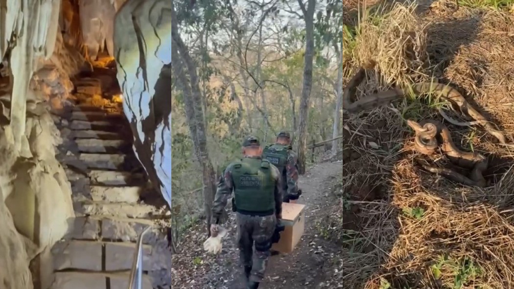 foto Not&iacute;cia Campo Grande