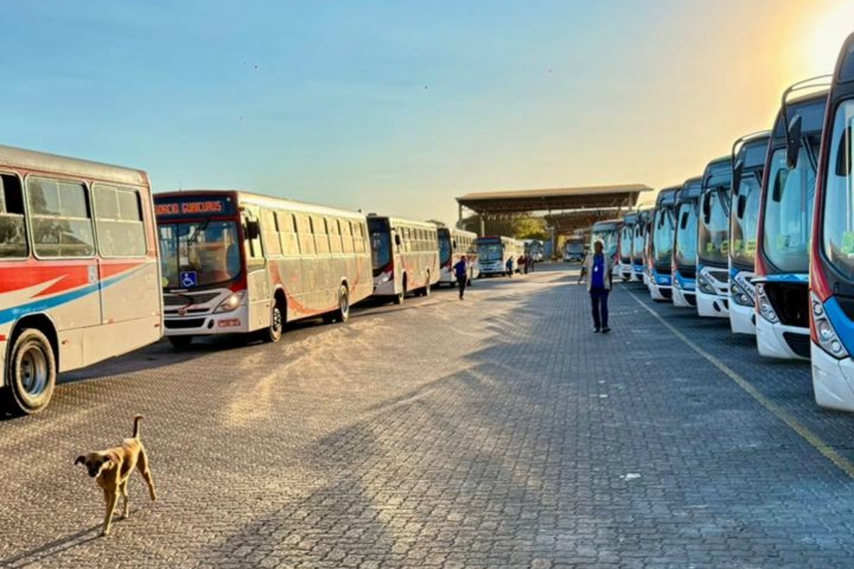 foto Not&iacute;cia Campo Grande