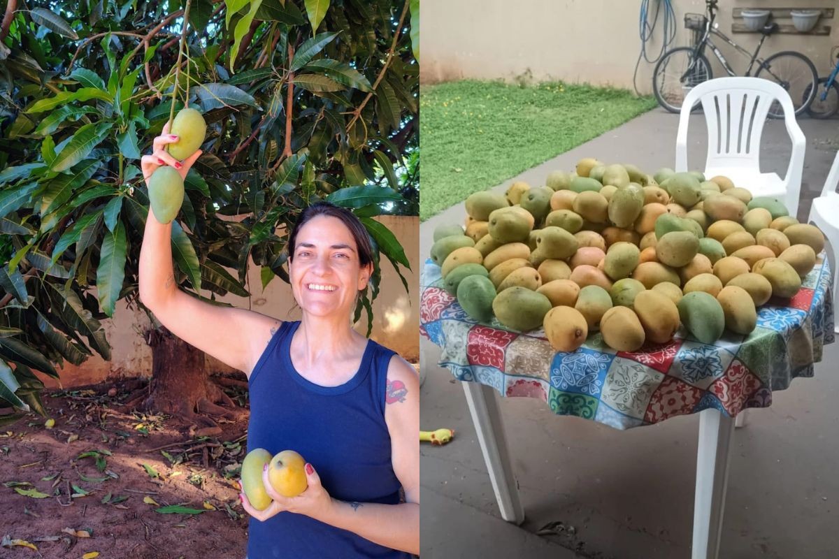 foto Not&iacute;cia Campo Grande