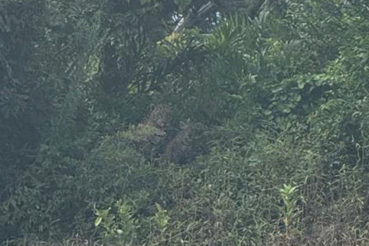 foto Not&iacute;cia Campo Grande