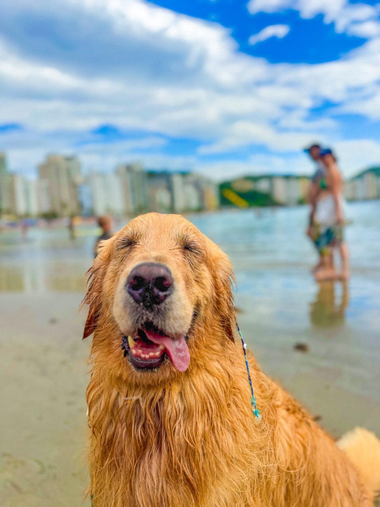 foto Not&iacute;cia Campo Grande