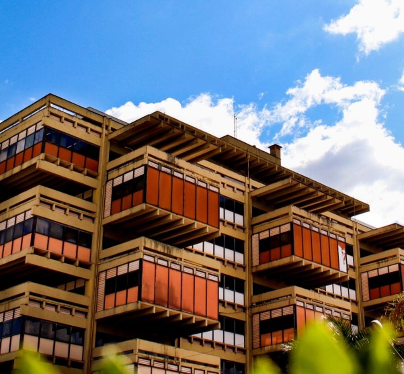 foto Not&iacute;cia Campo Grande