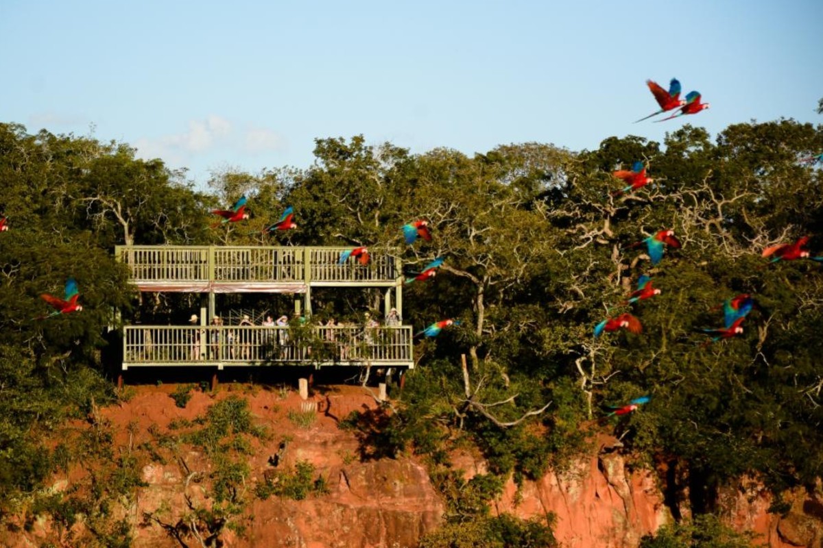 foto Not&iacute;cia Campo Grande