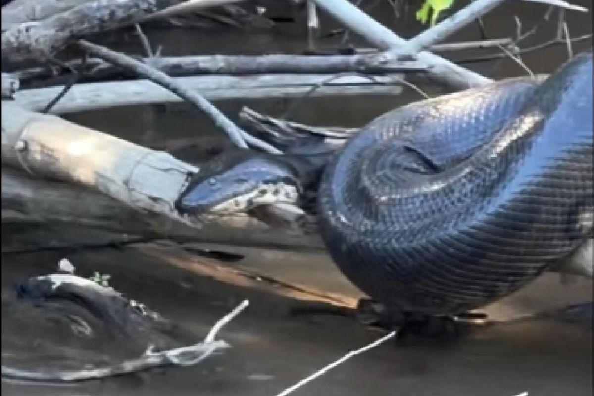 foto Not&iacute;cia Campo Grande