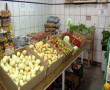 LEGUMES COM ÓTIMA QUALIDADE. CONHEÇA NOSSA QUINTA VERDE, ÓTIMOS PREÇOS!!!
